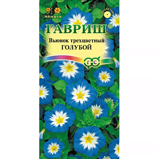 Семена Вьюнок трехцветный Голубой