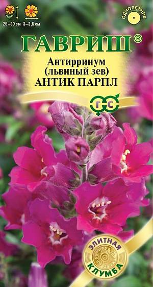 Семена Львиный зев (Антирринум) Антик Парпл<br>
 <br>
 Антирринум частый гость пышных цветников, заслуживший любовь нарядными цветами необычной формы с богатой и яркой палитрой окрасок. Новая необыкновенная серия Антик с удивительными открытыми азалиевидными цветками с волнообразным краем, что создает эффект махровости, и приятным ароматом станет достойным украшением вашего сада. Интенсивно ветвящейся кустик, достигающий в высоту 25-30 см, буквально усыпан крупными цветками, собранными в кистевидные соцветия сочных, насыщенно-пурпурных оттенков со светлой&nbsp; серединкой. Цветение продолжительное и обильное с июня до заморозков. Будучи неприхотливым растением, львиный зев нуждается лишь в стандартных процедурах по уходу за растениями: правильный полив, рыхление грунта, подкормка и удаление сорняков. Выращивают рассадным способом.&nbsp;<br>