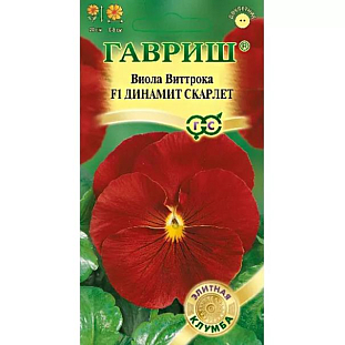 Семена Виола Динамит Скарлет F1 Виттрока