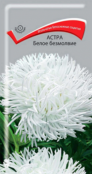 Семена Астра Белое безмолвие. Игольчатые белоснежные соцветия. Куст высотой 60-65 см. Cоцветия крупные, диаметром 11-12 см. На растении формируется 10-14 соцветий. Цветёт август-октябрь. Используют очень широко: для посадки в сборные цветники группами, на рабатки – рядами и для срезки.<br>
 <br>
 <br>
  Растение предпочитает открытое солнечное место, но выносит и полутень. Лучше растет на легких, плодородных почвах. Не переносит внесения  органических удобрений в год посадки. Семена высевают с середины февраля по апрель. Глубина заделки семян 0,5 см. При температуре почвы +20 °С всходы появляются на 7-14 день. Через 3-4 недели посевы пикируют  и выращивают при температуре 12-15 °С. В грунт рассаду высаживают во второй половине мая, выдерживая расстояние между растениями 30-35 см.<br>