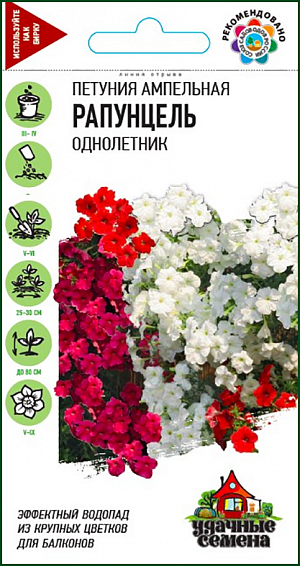 Семена Петуния<b> </b>Рапунцель ампельная.<br>
Необыкновенно красивое растение c повисающими побегами длиной до 80 см. Молодые кустики прямостоячие, вырастая, побеги свешиваются и образуют настоящую лавину из крупных цветков до 8 см в диаметре. Выращивают рассадным способом. Посев проводят поверхностно, под стекло (после появления всходов стекло убирают). Всходы появляются через 7-12 дней. Светолюбива и достаточно засухоустойчива. Предпочитает легкие, плодородные, хорошо дренированные почвы. Великолепно украсят балконные ящики, вазы и подвесные кашпо.