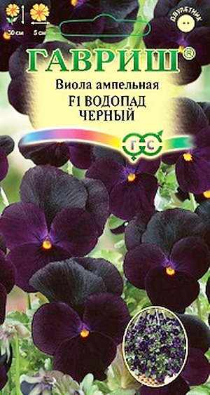 Семена Виола Водопад черный F1 ампельная.
Виола ампельная Водопад черный F1 (Виттрока, Анютины глазки) - это удивительная каскадная виола с повисающими побегами длиной 30 см для украшения подвесных корзин и балконных ящиков. Густая яркая зелень и обилие темно-фиолетовых, практически черных цветков диаметром 5 см образуют плотный непрерывно цветущий шар. Цветет с мая по сентябрь.
