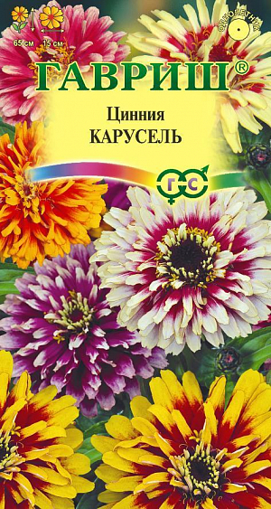 Семена Цинния Карусель смесь<br>
 <br>
Нарядная, элегантная смесь крупноцветковых цинний для яркого оформления сада. Цветы с широкими кактусовидными лепестками двухцветной окраски с темной серединкой и светлыми краями. Отличается обильным и продолжительным цветением, прочными ветвящимися цветоносами, стойкими к выгоранию тонами соцветий. Растения формируют приподнятые, разветвленные кусты высотой 65 см. Соцветия кактусовидные, крупные, 15 см в диаметре, с высокой устойчивостью к неблагоприятным погодным условиям. Цветет с июня до заморозков. Циннии светолюбивы, засухоустойчивы и теплолюбивы; отзывчивы на полив, без длительного полива снижается интенсивность цветения и уменьшается размер соцветий. Выращивают рассадным способом. Семена высевают в апреле.&nbsp;Всходы появляются через 4–6 дней. В начале июня растения высаживают на расстоянии 20 см. Используют в различных цветниках, для получения высококачественной срезки.