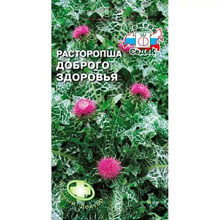 Расторопша пятнистая Доброго здоровья Расторопша пятнистая Доброго здоровья