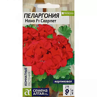 Семена Пеларгония Нано Скарлет