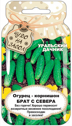 Семена Огурец-корнишон Брат с Севера