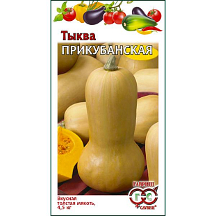 Семена Тыква Прикубанская мускатная