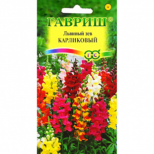 Семена Львиный зев Карликовый смесь