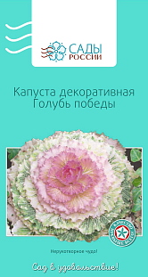 Капуста декоративная Голубь победы Капуста декоративная Голубь победы