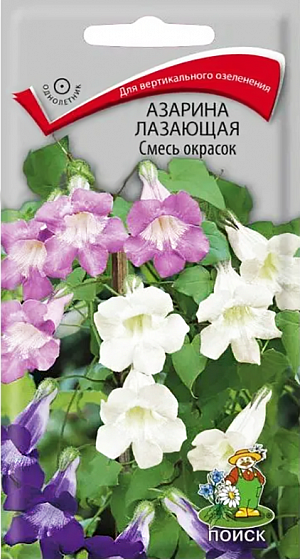<div>
 Семена Азарина лазающая Смесь окрасок.
</div>
 Замечательное ампельное растение, популярность которого неуклонно растет.&nbsp;&nbsp;Стебли достигают 2,5 м длины.&nbsp;Бархатистые листья хорошо оттеняют крупные воронковидные цветки, располагающиеся по всей длине стебля. Цветёт с июля по сентябрь. Используют для балконов в подвесных корзинах, декорирования заборов и беседок.<br>
Агротехника.&nbsp;Растение предпочитает хорошо дренированные почвы и солнечные места. Посев семян проводят в феврале-апреле в горшочки по 3-4 семени. Семена слегка вдавливают в почву, не присыпая землей. Посадочную емкость накрывают стеклом и ставят в освещенное место. При температуре почвы +20°C всходы появляются на 21 день. В открытый грунт рассаду высаживают после окончания весенних заморозков, выдерживая расстояние между растениями 45-60 см.&nbsp;