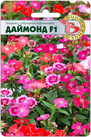 <blockquote>
</blockquote>
Семена Гвоздика Даймонд F1 гибридная карликовая.
<div>
 Постоянно цветущее растение в течение всего периода выращивания (раннее начало цветения и погибает только с началом значительных заморозков) <br>
 Разнообразные яркие светящиеся окраски <br>
 Универсальное использование – вазоны, горшки, бордюры, клумбы <br>
 Рекомендуется выращивать на солнечном месте.<br>
 Уникальная карликовая гвоздика с крупными люминесцентными цветками.<br>
 Растения в период цветения полностью покрыты многочисленными цветками <br>
 Высота 10-15 см, с короткими сидячими цветоносами, цветы диаметром 3-4 см <br>
 Прорастание: 10-12 дней при 18-20°С <br>
 Рассада: 7-8 недель при 16-18°С <br>
 Высадка в открытый грунт: первая декада июня <br>
 Начало цветения: на 11-12 неделе.
</div>
 <br>