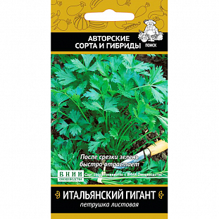 Семена Петрушка Итальянский гигант Семена Петрушка Итальянский гигант