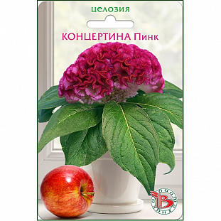 Семена Целозия горшечная Концертина Пинк