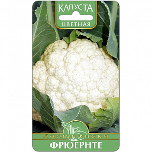 Семена Капуста цветная Фрюернте