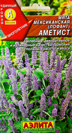 Семена Мята мексиканская Аметист