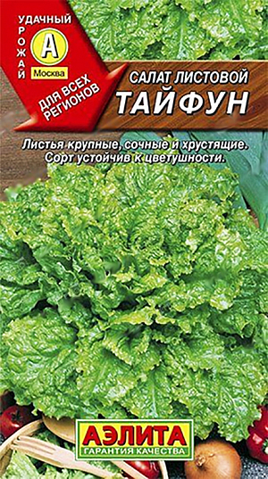 Семена Салат Тайфун листовой