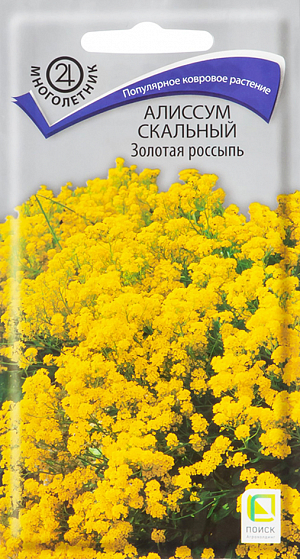 Семена Алиссум Золотая россыпь скальный. Один из самых популярных ковровых многолетников.&nbsp;Растение образует густо разросшийся кустик высотой 15 см с серо-зелёной листвой, стебли ветвистые, в основании деревянистые. Кистевидные соцветия с мелкими душистыми светло-жёлтыми цветками. Обильное цветение на второй год с апреля по июнь. После цветения стебли укорачивают - это омолаживает растение и помогает сдерживать его рост. Используют на каменистых горках, в миксбордерах и бордюрах.<br>
 <br>
Растение светолюбивое, холодо- и засухоустойчивое. Предпочитает солнечное место и умеренно влажную почву. Размножают семенами, делением куста и черенками. Семена высевают в июне – начале июля непосредственно в грунт, выдерживая расстояние между растениями 10-15 см. При температуре почвы +18°С всходы появляются на 14-21 день. Зацветают сеянцы на второй год. Деление куста производят в апреле, черенкование – в июне.
