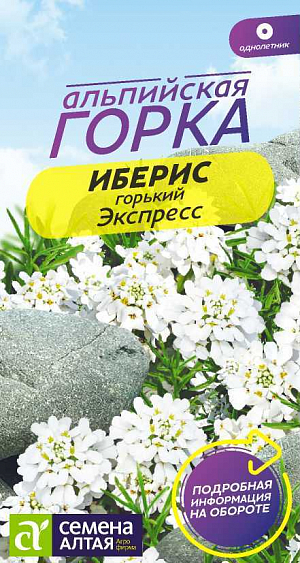 Иберис Экспресс горький

Однолетнее пышноцветущее растение, медонос с отличным ароматом. Куст ибериса горького достигает высоты 30 см, форма стебля – ветвящаяся. Крупные листья ланцетные с зубчатыми краями. Соцветия внешне похожи на цветки гиацинта, представляют собой группу ярко-белых корончатых цветков. Незаменим для оформления рокариев и альпийских горок, идеально подчеркивает текстуру камней и каменной крошки, применяется в качестве бордюрного растения, великолепно смотрится на переднем плане клумб и миксбордеров, также выращивается в контейнерах и балконных ящиках. Растение нетребовательно к почвам, но лучше растет на песчаной и суглинистой. Единственное требование – водопроницаемость. Предпочитает открытые солнечные участки, поскольку даже полутень негативно сказывается на декоративности растения. Размножают посевом семян в открытый грунт в апреле-мае. Глубина заделки семян – 0,5 см. При температуре почвы +18°C всходы появляются примерно через 14 дней. Растение крайне негативно относится к пересадкам, поэтому выбирайте место так, чтобы его не тревожить. Всходы прореживают с интервалом 20-25 см. Возможен посев семян в открытый грунт под зиму. Цветение начинается в июне и длится в течение двух месяцев.