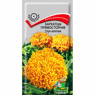 Семена Бархатцы Спун золотые (тагетес)