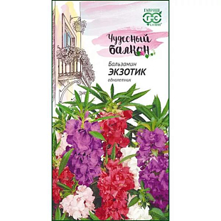 Семена Бальзамин Экзотик карликовый