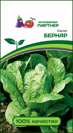 Семена Салат кочанный Бернар