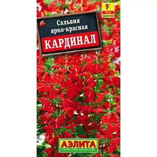 Сальвия Кардинал Сальвия Кардинал