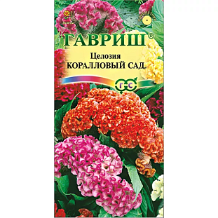 Целозия Коралловый сад