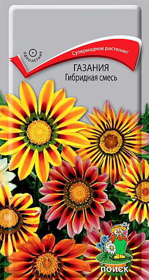 Семена Гацания Гибридная смесь.
Супермодное растение! Компактное растение высотой 30 см. Соцветия на прочных длинных цветоносах. Соцветия-корзинки эффектные, крупные, 7-8 см в диаметре, разнообразных окрасок. Цветёт с июля по сентябрь. Используют для украшения балконов, как бордюрное растение, в рабатках и каменистых горках, на клумбах. 
Агротехника. Растение засухоустойчивое, плохо переносит избыток влаги, к почвам не требовательное. Для выращивания рассады посев производят в марте в ящики. При температуре +18°C всходы появляются на 10-15 день. Сеянцы пикируют в торфо-перегнойные горшочки. Посадку на место производят в середине мая, выдерживая расстояние между растениями 15-20 см.