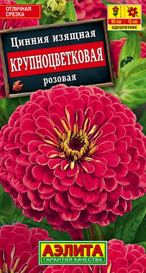 Семена Цинния Крупноцветковая розовая.
Обильноцветущая, высокорослая цинния с крупными, махровыми соцветиями-корзинками диаметром 13-15 см. Растения высотой до 90 см, крепкие, с прочными цветоносами. Цветение раннее и продолжительное, с июня до заморозков. Каждый цветок держится на растении до 30 дней. Циннии теплолюбивые, засухоустойчивые, предпочитают солнечные места, хорошо переносят воздействие непогоды. Используются на клумбах и рабатках, великолепно смотрятся в групповой посадке. Срезанные цветы долго стоят в воде. Агротехника. Выращивают рассадным способом. С развитием первой пары настоящих листочков сеянцы пикируют. В фазе 5-6 листьев проводят формирующую прищипку. Рассаду высаживают в открытый грунт, когда минует опасность заморозков. Растениям необходимы регулярные поливы, прополки, рыхления и подкормки. Возможен посев семян в открытый грунт на глубину1 см.