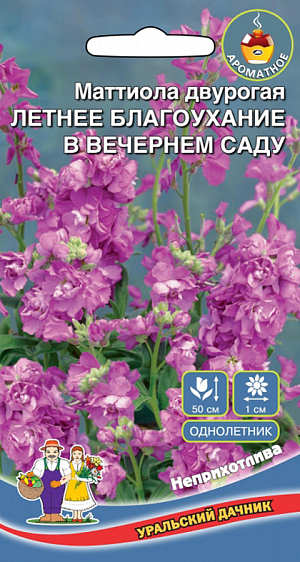 <div>
 Семена Маттиола Летнее благоухание в вечернем саду.
</div>
<p>
 Одно из самых излюбленных садовых растений. Цветёт на протяжении всего лета. Цветки маттиолы собраны в соцветия, днем они закрыты, в вечернее время открываются, обладают сильным и приятным ароматом. Растение светолюбивое и холодостойкое, с лёгкостью украсит любой уголок сада. Широко используется для балконного озеленения.
</p>
<p>
 На рассаду семена высевают в марте-апреле. Глубина заделки семян 0,5 см. Всходы пикируют в стадии первых настоящих листочков, в мае рассаду высаживают в открытый грунт. Расстояние между растениями при высадке 20-25 см. С конца апреля можно сеять непосредственно в грунт, с последующим прореживанием. Для продолжительного и обильного цветения растениям необходим своевременный полив, регулярная прополка, рыхление и подкормка минеральными удобрениями.
</p>