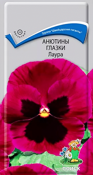 Семена Анютины глазки Лаура. Обильное цветение с ранней весны до осени.&nbsp;Растение с быстрым ростом, красиво и обильно облиственное, с крупными цветками, сидящими на короткой и твердой цветоножке. Лепестки розово-лиловые, на 3-х нижних - пятна у основания лепестков. Высота растения 15 см. Используют&nbsp; для клумб и бордюров, в цветники - группами.<br>
 <br>
 Агротехника.&nbsp;Растение отличается обильным цветением и морозостойкостью. <br>
 <br>
 Предпочитает солнечные места (но хорошо растет и в полутени), рыхлые, плодородные почвы. Размножают посевом семян в июле на разводочные гряды. Семена слегка присыпают землей. При температуре почвы +18°C всходы появляются на 10-15 день. Сеянцы пикируют в фазе 1-2-й пары настоящих листьев. В конце августа – начале сентября рассаду высаживают на постоянное место, выдерживая расстояние между растениями 15-20 см.<br>
 <br>