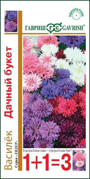 Семена Василек Дачный букет смесь<br>
 <br>
 Нарядная невысокая смесь от 60-80 см с хорошо развитыми и сильноветвистыми кустиками. Отличается обильным и продолжительным цветением. Соцветия — махровые корзинки разнообразной окраски, 4-5 см в диаметре. Растения неприхотливы, светолюбивы, холодостойки, к почве нетребовательны, но не любят переувлажнения. Выращивают прямым посевом в открытый грунт. Используется для посадки на клумбах, в группах, миксбордерах, и рабатках, а также для получения срезки.<br>