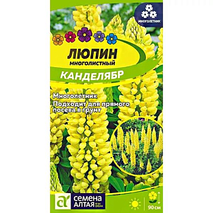 Семена Люпин Канделябр Семена Люпин Канделябр