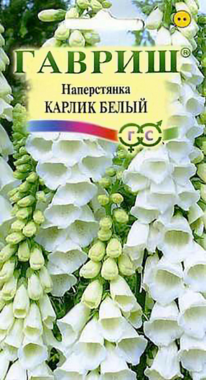 Семена Наперстянка Карлик белый.
Травянистое прямостоячее растение из семейства Норичниковые, высотой 35 см. Цветет в июне-августе.
Цветки крупные (длиной 3-4 см) колокольчатые, белоснежные, собраны в эффектное соцветие.
При удалении отцветших соцветий образует новые цветочные побеги. Морозо- и засухоустойчива. 
Светолюбива, при выращивании в полутени цветки становятся мельче. Предпочитает рыхлые, плодородные и водопроницаемые почвы.
Выращивают посевом семян в открытый грунт. Всходы появляются на 8-10 день.
Сеянцы пикируют по схеме 10х10 см, на постоянное место растения высаживают с расстоянием 15-20 см, молодые растения желательно укрыть. Используется для посадки в бордюрах,группах, миксбордерах. Отлично гармонирует с сортом Карлик Красный. 
