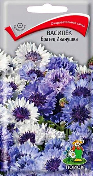Семена&nbsp;Василёк Братец Иванушка.&nbsp;Гармоничная и привлекающая внимание смесь.&nbsp;Соцветия белой, голубой темно-синей окраски с темным центром. Растения высотой 80-100 см. Цветет с июня по сентябрь. Прекрасно подойдет для высоких бордюров, цветников в ландшафтном стиле, срезки.<br>
 <br>
&nbsp;Агротехника.&nbsp;Растение светолюбивое, холодостойкое. Почвы предпочитает рыхлые, питательные, нейтральные. Размножают посевом семян в апреле - мае в открытый грунт. Глубина заделки семян 0,3-0,5 см. При температуре почвы +20˚C всходы появляются через 14-20 дней. Сеянцы прореживают, оставляя расстояние между растениями 15-20 см.