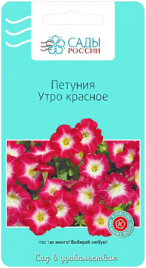 Семена Петуния Утро красное.
Крупные цветы рассветно-розового цвета, с трогательной белой серёдкой. При массовой посадке в цветниках даёт плотный цветной ковер впечатляющего вида. Цветение до заморозков.