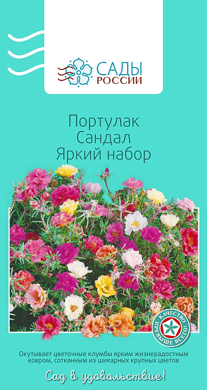 Портулак Сандал Яркий набор

Портулак серии «Сандал» – травянистое стелющееся растение с мелкими цилиндрическими зелеными или слегка красноватыми мясистыми листьями. Создан для быстрого завоевания пространства. Цветки чашевидные простые или махровые средней величины (диаметр 2,5–3 см). Раскрываются рано утром и закрываются с наступлением сумерек. Теплолюбив. Рассаду высаживают в грунт после того, как минует угроза возвратных заморозков.