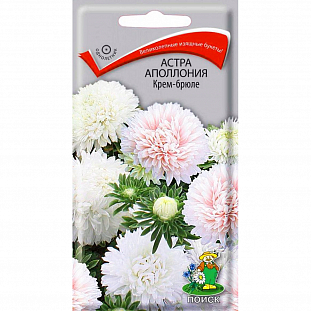 Семена Астра (однолетняя) Аполлония Крем-брюле