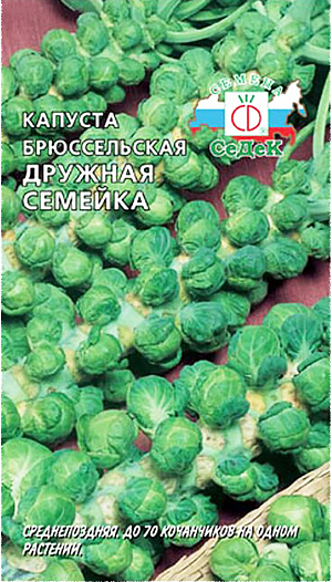 Семена Капуста брюссельская Дружная семейка