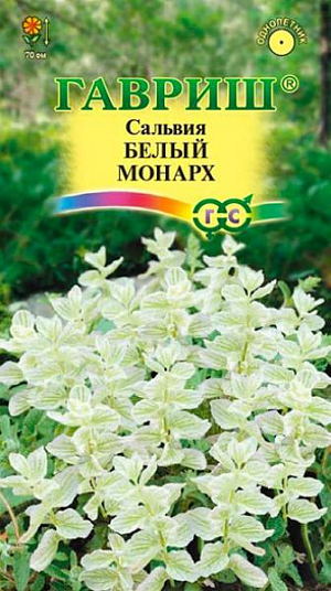 Семена Сальвия Белый монарх<br>
 <br>
 Однолетнее, компактное растение высотой 70 см. Очень привлекательное благодаря сине-фиолетовым прицветным листьям, собранным в длинные (18-30 см), простые соцветия. Растение декоративно уже через месяц после посева. Цветет с середины июня до поздней осени, сохраняя свою декоративность. Плодоносит обильно, часто дает самосев. Предпочитает солнечные места и почвы без избытка органических удобрений. Посев производят в марте в рассадные ящики на глубину 0,5-0,8 см. Всходы появляются через 7-14 дней, после чего саженцы пикируют. В грунт рассаду высаживают, когда минует угроза весенних заморозков (25 мая - 15 июня). Расстояние между растениями 30-35 см. Сорт интересен для создания пейзажных композиций, монокультурных клумб и миксбордеров.<br>