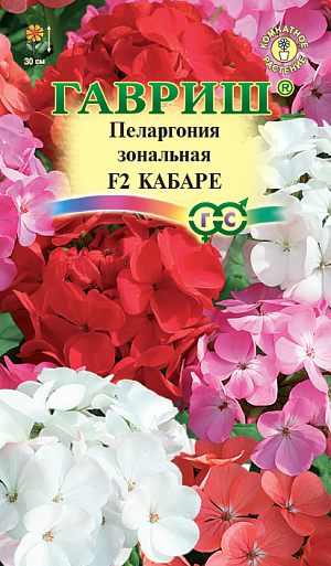Семена Пеларгония Кабаре.<br>
 Популярное многолетние комнатное растение из семейства Гераниевых. Формирует объемный и компактный кустик высотой 30 см. Листья зеленые, с характерным темным рисунком. Восхитительные цветки, разнообразной окраски, образуют крупные, шаровидные соцветия, диаметром 9-12 см. При тщательном уходе может цвести весь год. Пеларгония светолюбива, неприхотлива в культуре, легко переносит недостаток влаги. Размещают растение на солнечных восточных и западных окнах. В теплое время года любит обильный, частый полив.<br>
 Зимой, в зависимости от температуры, поливают умереннее. Подкармливают растение минеральными удобрениями, обогащенными калием. Для получения цветущих растений к началу лета посевы производят с декабря по февраль, используя в качестве субстрата чистый торф или смесь торфа с песком. Для комнатного использования высевают в марте-апреле. Всходы обычно появляются через 2-3 недели после посева. В фазе двух-трех настоящих листочков растения пикируют в горшки. Для лучшего кущения рассаду прищипывают над пятым - шестым листом. Летом пеларгонию желательно выносить на свежий воздух, а зимой устанавливать в прохладной светлой комнате с температурой 10-12 °C. Геранями озеленяют балконы, веранды, лоджии. Их используют в цветочных композициях в полутенистых участках сада.