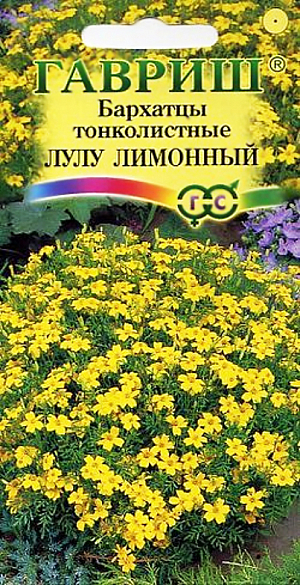 Семена Бархатцы Лулу лимонный. <br>
Обильно цветущий сорт для ярких нарядных цветников. Растение сильноветвистое, формирует раскидистый кустик с изящными перисто-рассеченными листьями. В пору цветения растение похоже на цветущий шар, усыпанный лимонно-желтыми соцветиями – корзинками до 3 см в диаметре. Бархатцы теплолюбивы и светолюбивы, засухоустойчивы, отзывчивы на плодородие почв. Высаженные рядом с огородными культурами, они уменьшают их поражение грибными заболеваниями, особенно фузариозом, защищают от некоторых видов нематод. На рассаду высевают в начале апреля. В открытый грунт можно высевать в конце мая — начале июня. Всходы появляются на 5-10 день. Широко используются в озеленении при оформлении бордюров, для выращивания в контейнерах, вазонах. Пригодны для выращивания в ампелях на балконах и лоджиях.