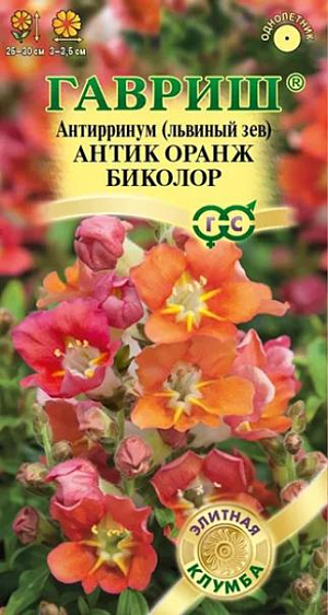 Семена Львиный зев (Антирринум) Антик Оранж биколор<br>
 <br>
 Антирринум частый гость пышных цветников, заслуживший любовь нарядными цветами необычной формы с богатой и яркой палитрой окрасок. Новая необыкновенная серия Антик с удивительными открытыми азалиевидными цветками с волнообразным краем, что создает эффект махровости, и приятным ароматом станет достойным украшением вашего сада. Интенсивно ветвящейся кустик, достигающий в высоту 25-30 см, буквально усыпан крупными цветками, собранными в кистевидные соцветия нежно-оранжевых оттенков со светлой серединкой и белой «ножкой». Цветение продолжительное и обильное с июня до заморозков. Будучи неприхотливым растением, львиный зев нуждается лишь в стандартных процедурах по уходу за растениями: правильный полив, рыхление грунта, подкормка и удаление сорняков. Выращивают рассадным способом.<br>