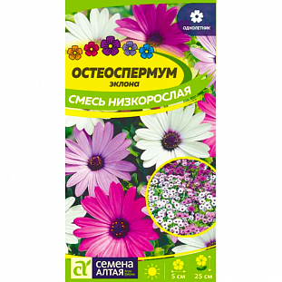 Семена Остеоспермум Смесь низкорослая