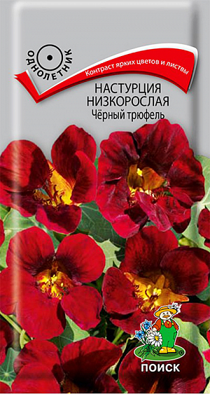 Семена Настурция Чёрный трюфель низкорослая.
Контраст ярких цветов и листвы. Куст шарообразный, высотой до 40 см. Листья серо-зелёные, красно-вишнёвые цветки, расположены поверх листьев. Цветет обильно с июля по октябрь. Используют для бордюров, рабаток, укрытия склонов, балконных ящиков.
Агротехника. Растение предпочитает солнечные или слегка затененные места, умеренно плодородные и влажные почвы. Семена высевают в мае прямо в открытый грунт, в лунки по три семени. Глубина заделки семян 2 см. При температуре почвы +20°C всходы появляются на 14-20 день. Расстояние между растениями 20-30 см.
Семена соответствуют требованиям международных стандартов и ГОСТу РФ 12260-81