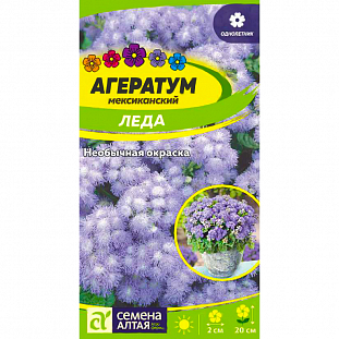 Семена Агератум Леда
