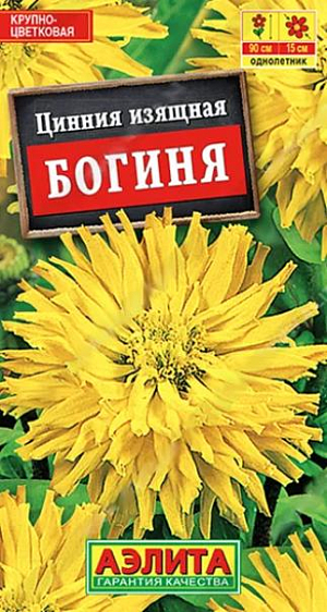 Семена&nbsp;Цинния кактусовидная Богиня.&nbsp;Феноменальная кактусовидная цинния, цветовое воплощение энергии. Поражает крупными размерами: средняя высота растений 70-90 см, диаметр соцветий 13-15 см. Растения быстрорастущие, мощного кустового габитуса, с хорошим ветвлением. Огромные густомахровые соцветия солнечной окраски имеют прочные и длинные стебли. Срезка сохраняет свежесть в вазе больше недели. Растения рекомендуется использовать для оформления центра клумбы, среднего яруса цветников, группами в миксбордере.<br>
 <br>
 Циннии – растения теплолюбивые, относительно засухоустойчивые. Предпочитают солнечные участки с дренированными почвами среднего плодородия, нейтральной кислотности. В южных регионах возможен без рассадный способ выращивания.<br>