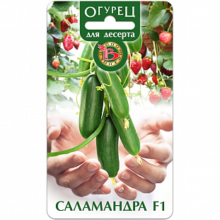 Семена Огурец Саламандра F1