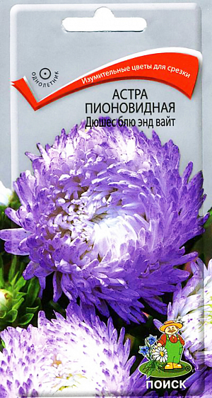 Семена Астра Дюшес блю энд вайт Пионовидная.
Изумительные цветы для срезки. Куст колонновидной формы, ветвистый, высотой 70 см.
 Соцветия бело-голубые, густомахровые, 8-10 см в диаметре. Цветет август-сентябрь. 
Используют для посадки в сборные цветники группами, на рабатки - рядами и для срезки. 
Агротехника. Растение предпочитает открытое солнечное место, но выносит и полутень.
 Лучше растет на легких, плодородных почвах. Не переносит внесения органических удобрений в год посадки. 
Семена высевают с середины февраля по апрель. Глубина заделки семян 0,5 см. 
При температуре почвы +20°C всходы появляются на 7-14 день. 
Через 3-4 недели посевы пикируют и выращивают при температуре 12-15°C. 
В грунт рассаду высаживают во второй половине мая, выдерживая расстояние между растениями 30-35 см.