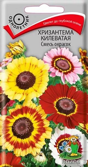 Семена Хризантема Килеватая смесь окрасок.
Смесь многолетней корейской хризантемы для украшения осенних цветников. Формирует хорошо разветвленные кусты высотой около 50 см, цветущие махровыми, полумахровыми и простыми соцветиями Ø4-6 см, самой разнообразной окраски. Зацветают через 5-6 месяцев от посева. Срезка стоит в воде до 3-х недель. Холодостойкие и морозоустойчивые растения, зимуют в открытом грунте. Кусты образуют много численную корневую поросль, с помощью которой понравившиеся растения можно размножить следующей весной.